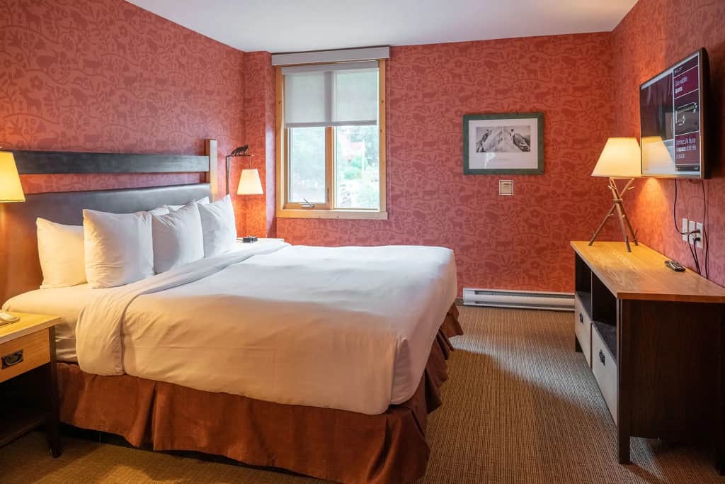 Fox Hotel & Suites — photo 5