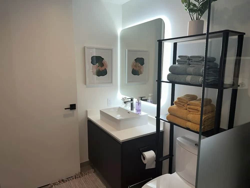 Premier Studio with King Bed and Queen Sofa-bed — photo 4