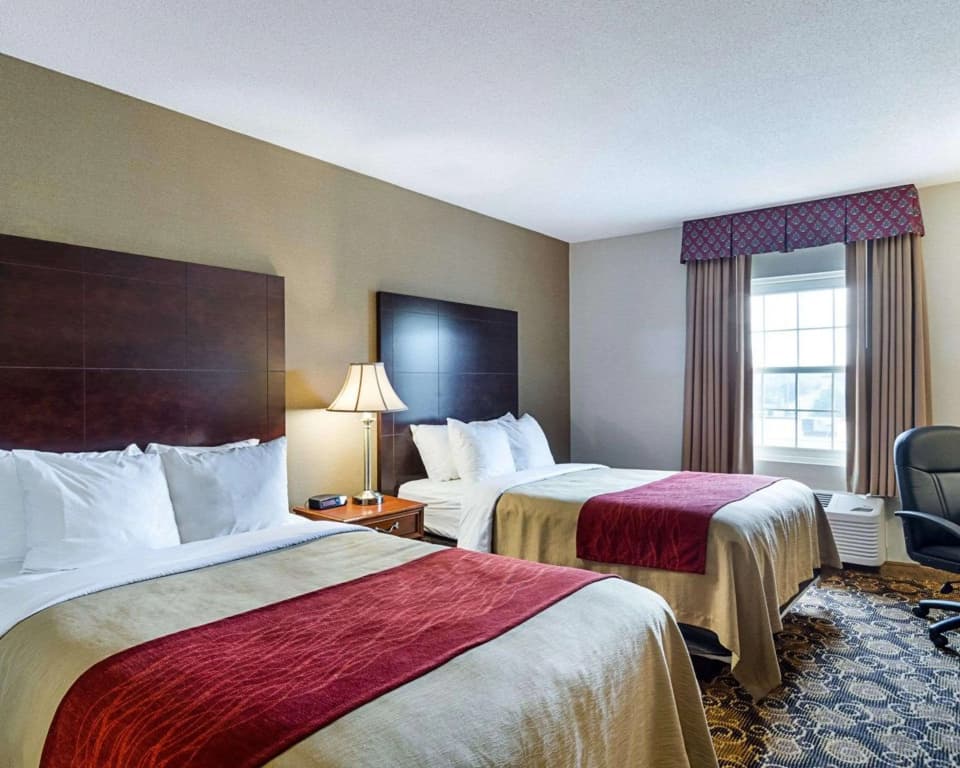 Comfort Inn Rockland - Boston — photo 3