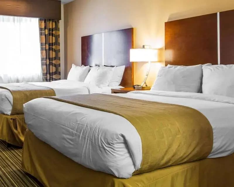 Quality Inn — photo 4