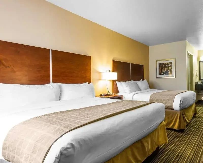 Quality Inn — photo 5