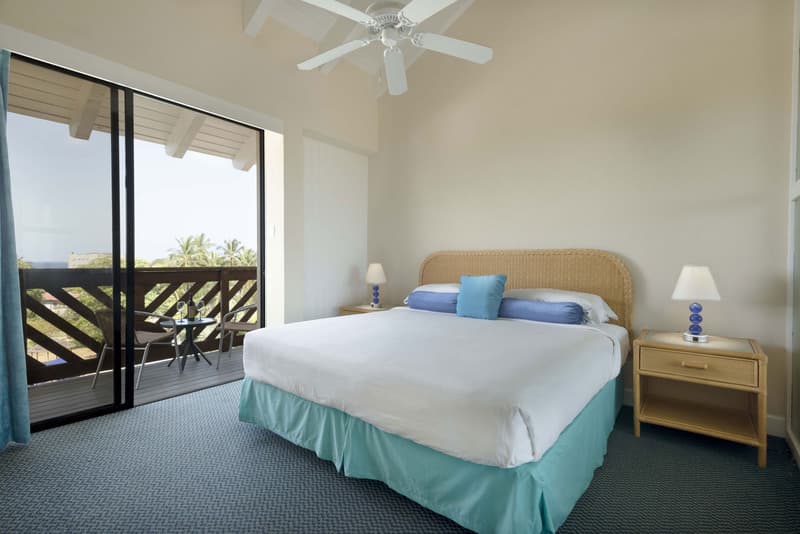 Garden, 1 King and 1 Sofa Bed, 1 Bedroom — image 1 sur 1