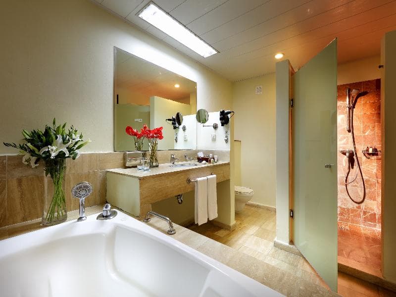 Junior Standard Suite — image 1 of 8