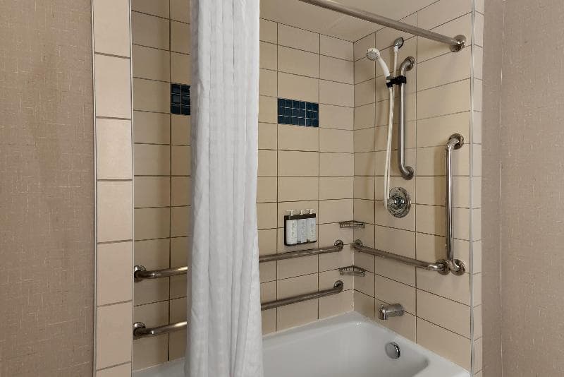Suite, King, Accessible — image 1 sur 8