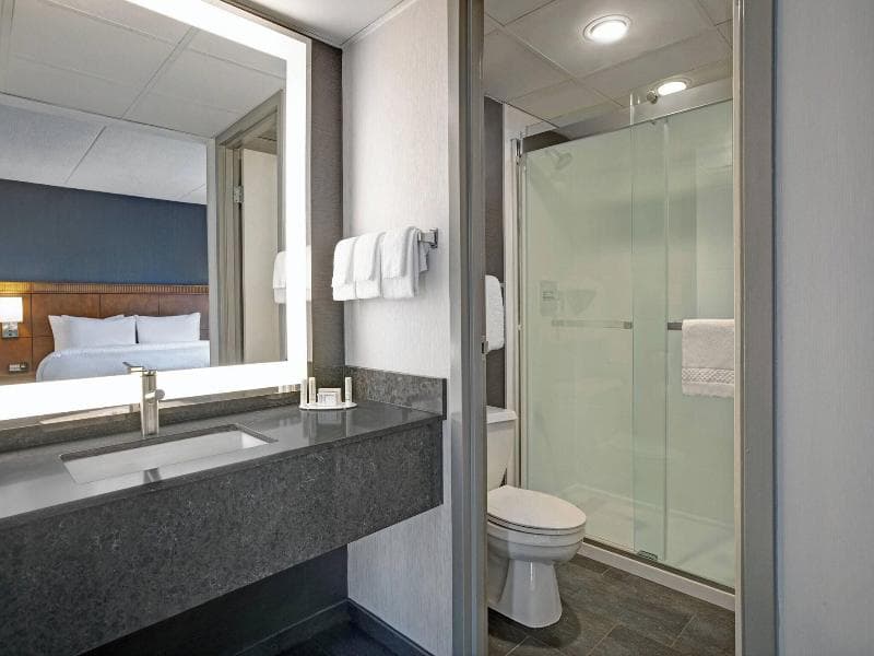 Suite, 1 King and 1 Sofa Bed, 1 Bedroom — image 1 of 5