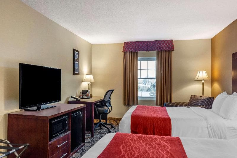 Room - 2 Double — image 1 of 11