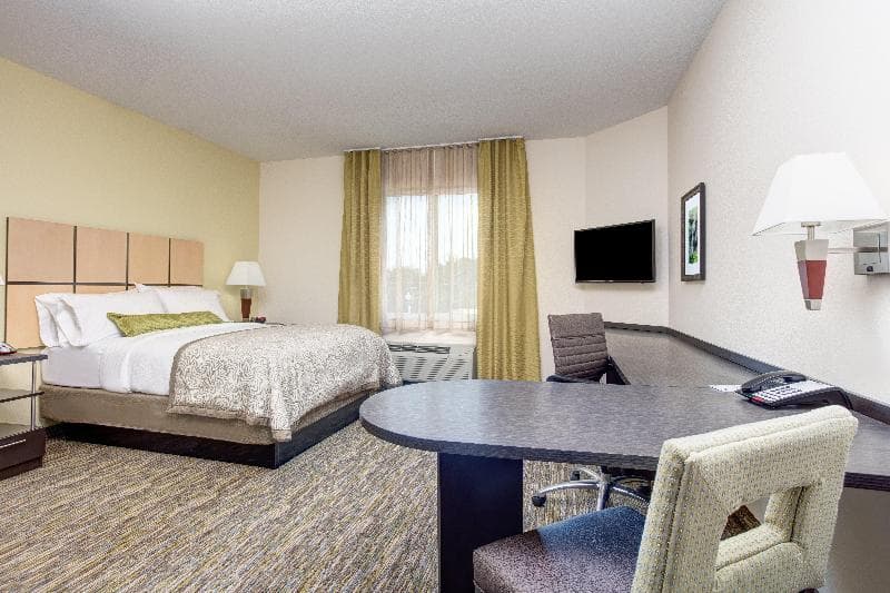 Studio Suite, Queen, Accessible — image 1 sur 3