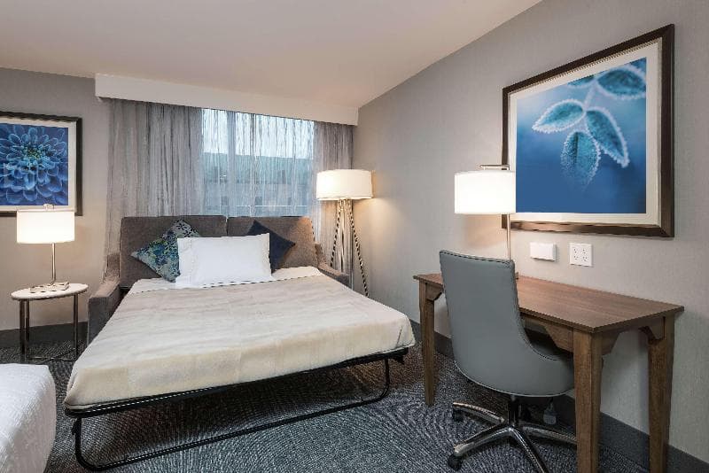 Studio Suite, King and Sofa Bed — image 1 of 7