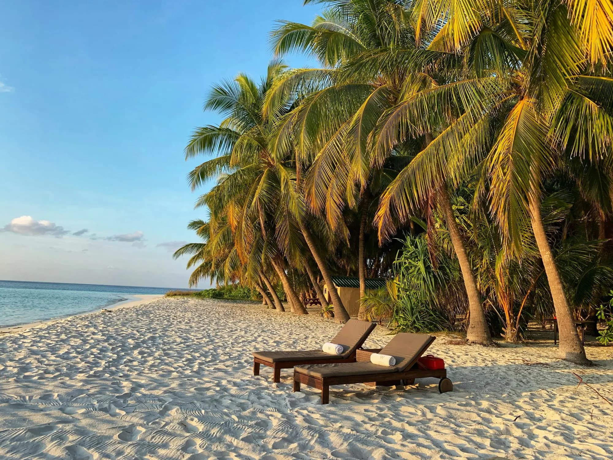 Two wooden sun loungers on white sand beneath leaning palm trees beside a calm turquoise sea