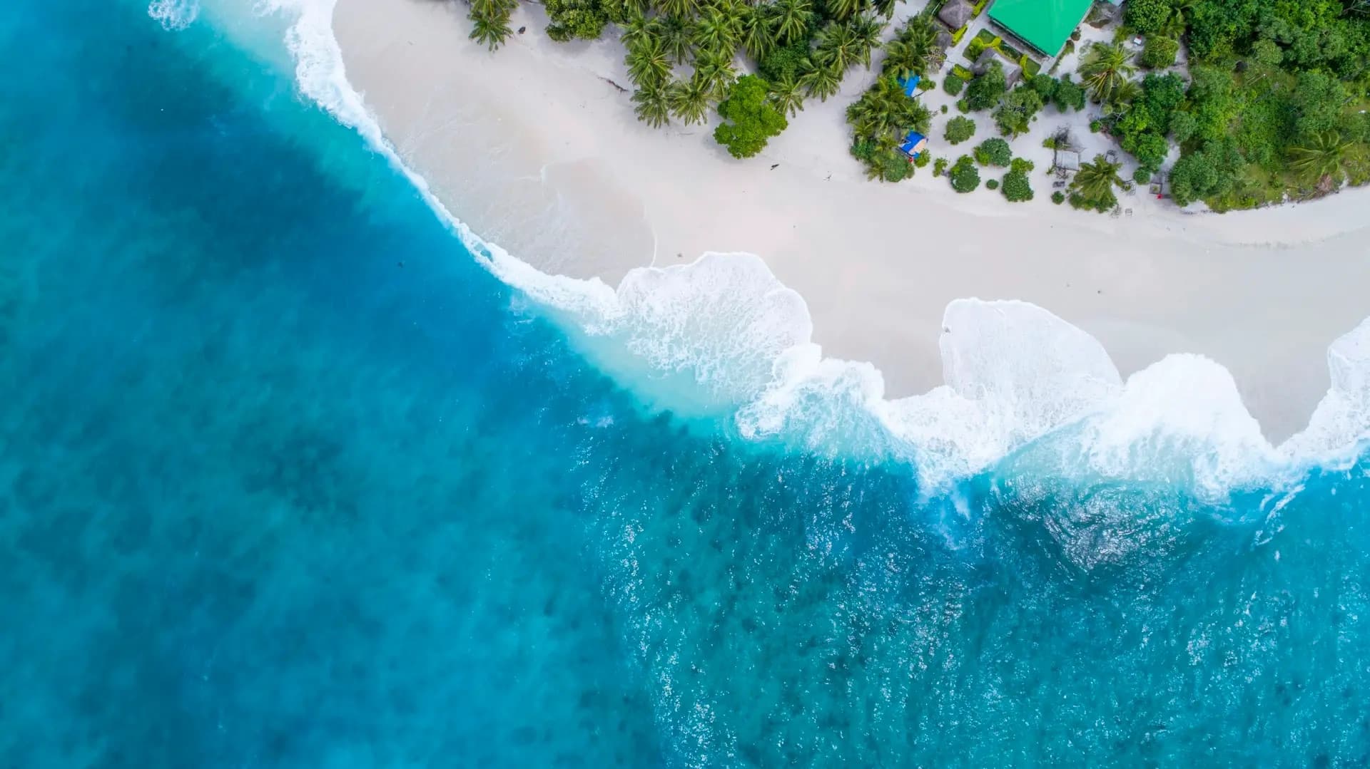 Aerial view of turquoise surf breaking on a white-sand beach lined with palm trees