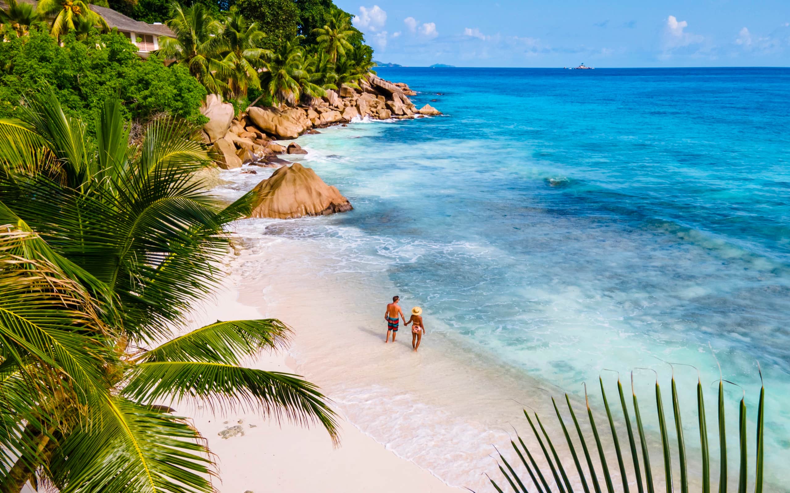 Turquoise tropical beach with white sand and palm trees