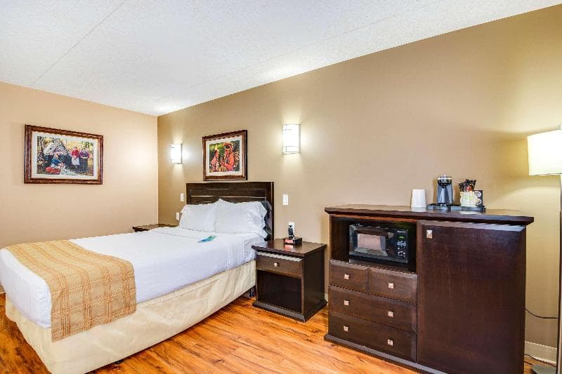 King Room — image 1 sur 1